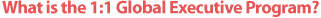 What is the 1:1 Global Executive Program?